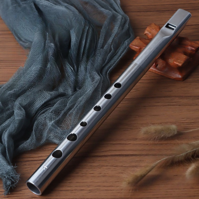 Tin Whistle Flute - Aluminiumlegering Recorder D Key Volwassen Ierse