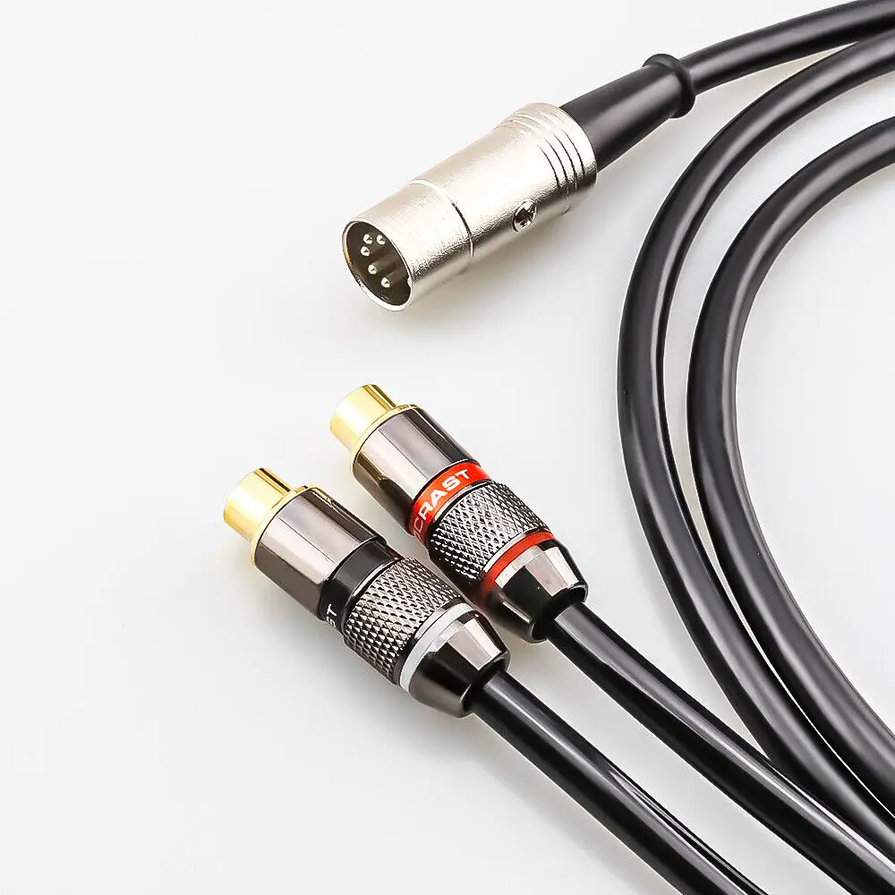 Musical Instrument Image - 5-pins DIN mannelijk naar 2-RCA vrouwelijk