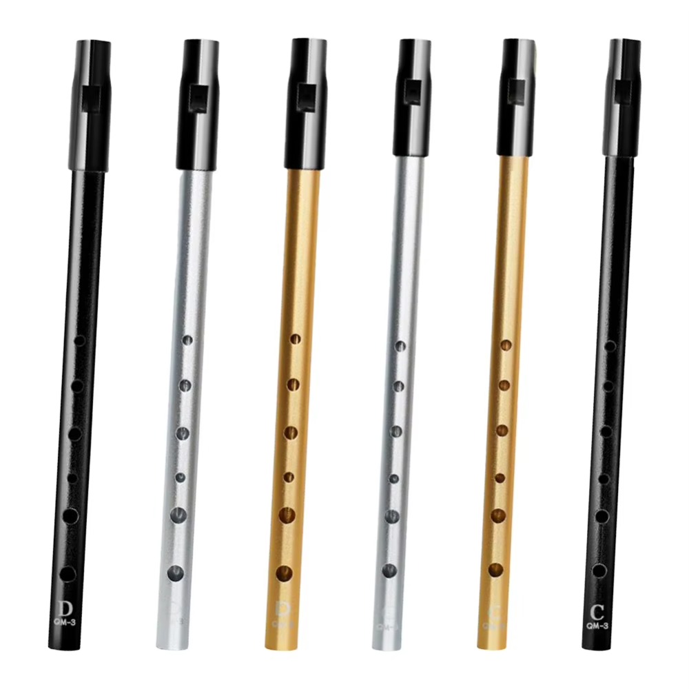 C/D Key Ierse Tinfluit Rijke K - Tin Whistle Flute recensie en prijs