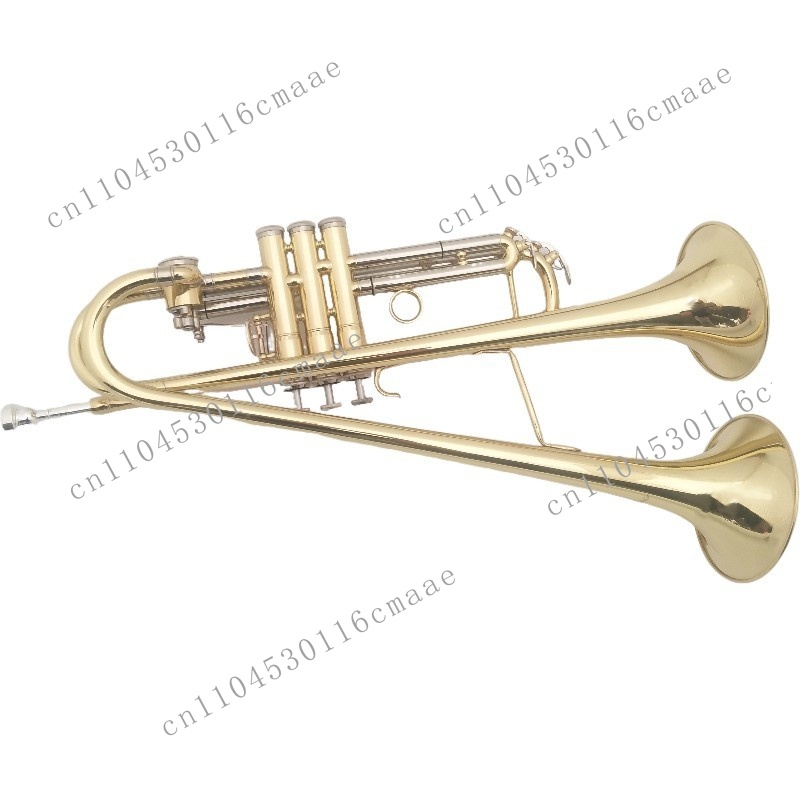 Fabrikant van messing dubbele  - Musical Instrument Manufacturers recensie en prijs