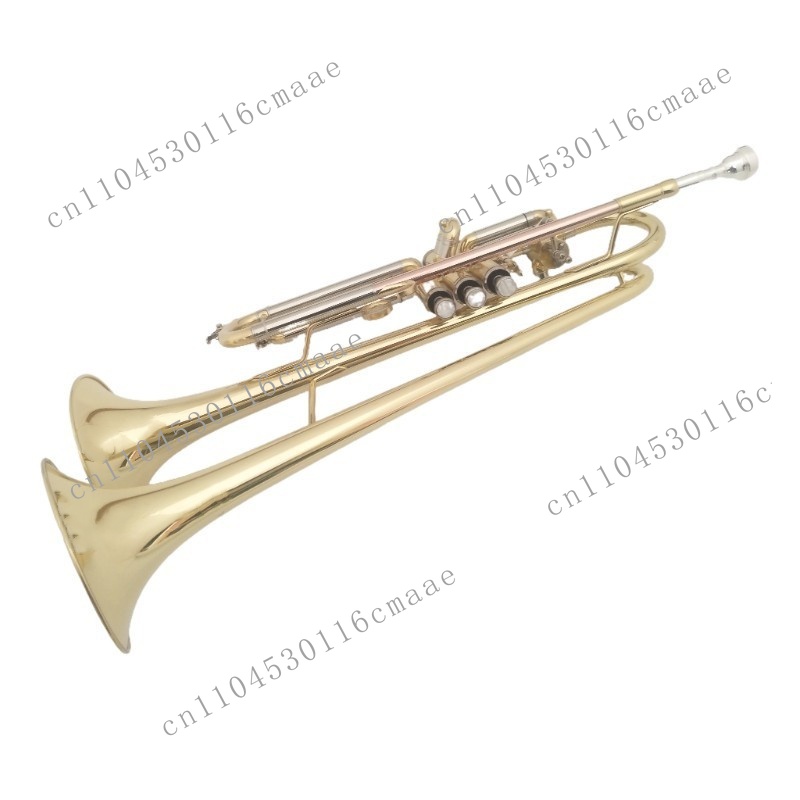 Fabrikant van messing dubbele  - Musical Instrument Manufacturers recensie en prijs