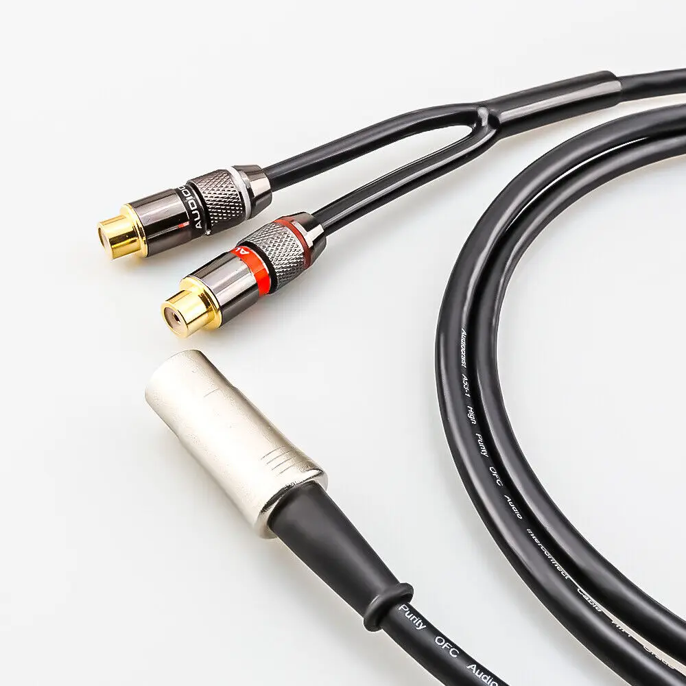 5-pins DIN mannelijk naar 2-RC - Musical Instrument Image recensie en prijs