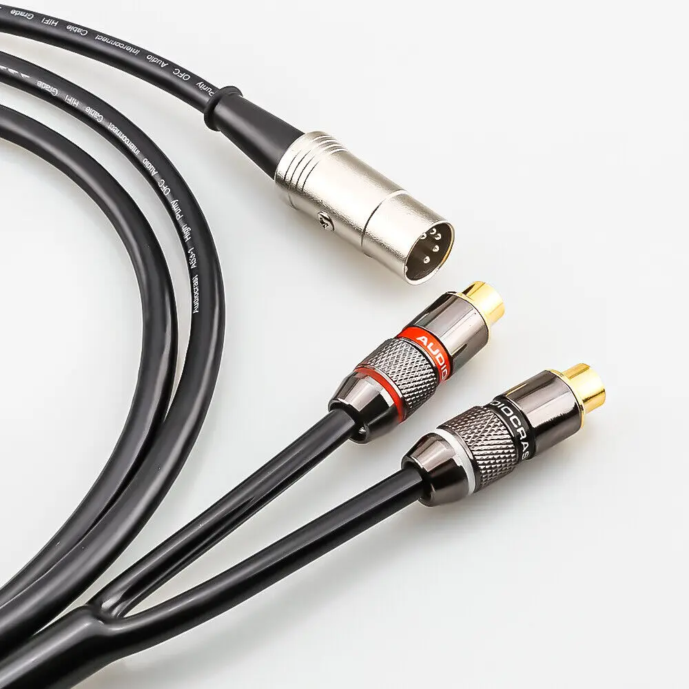 5-pins DIN mannelijk naar 2-RC - Musical Instrument Image recensie en prijs