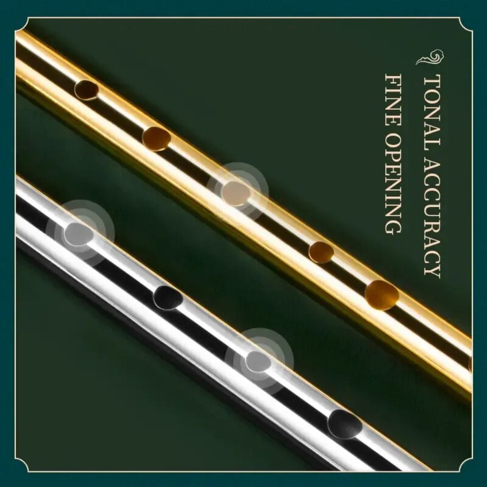 6 Gaten C/D Sleutel Ierse Flui - Tin Whistle Flute recensie en prijs